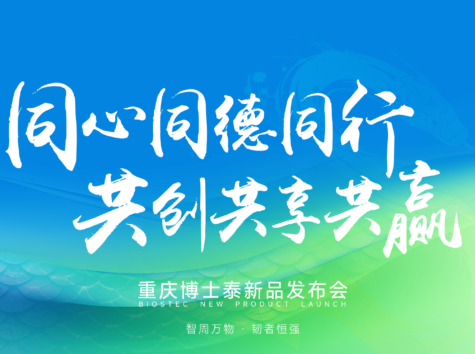 渝山淬鳞，五象化龙