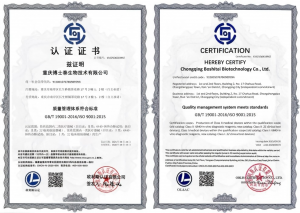 提质增效，迈向新阶 | 重庆博士泰获取ISO四大管理体系认证